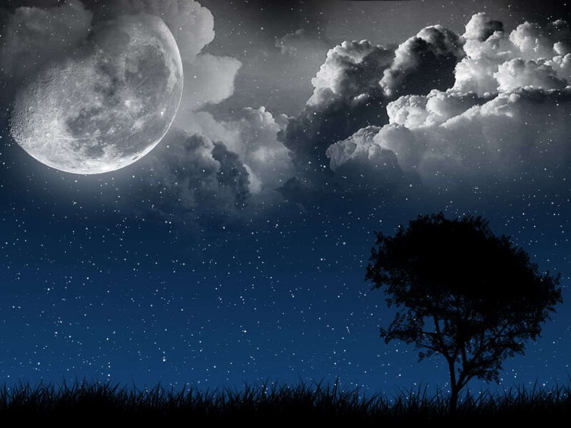 Silhouette of Tree and Moon — Blue
