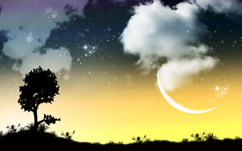 Silhouette of Tree and Moon