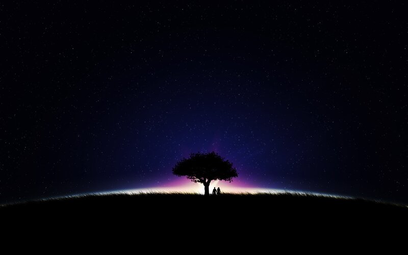 Silhouette of Tree and People — Stars