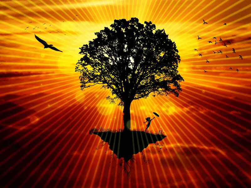 Silhouette of Tree and Person — Orange, Dramatic, Sunset
