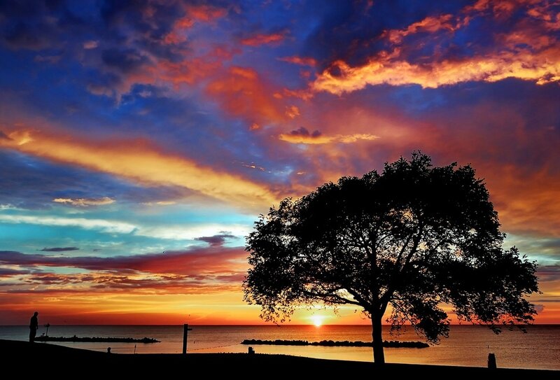 Silhouette of Tree and Person — Orange, Dramatic