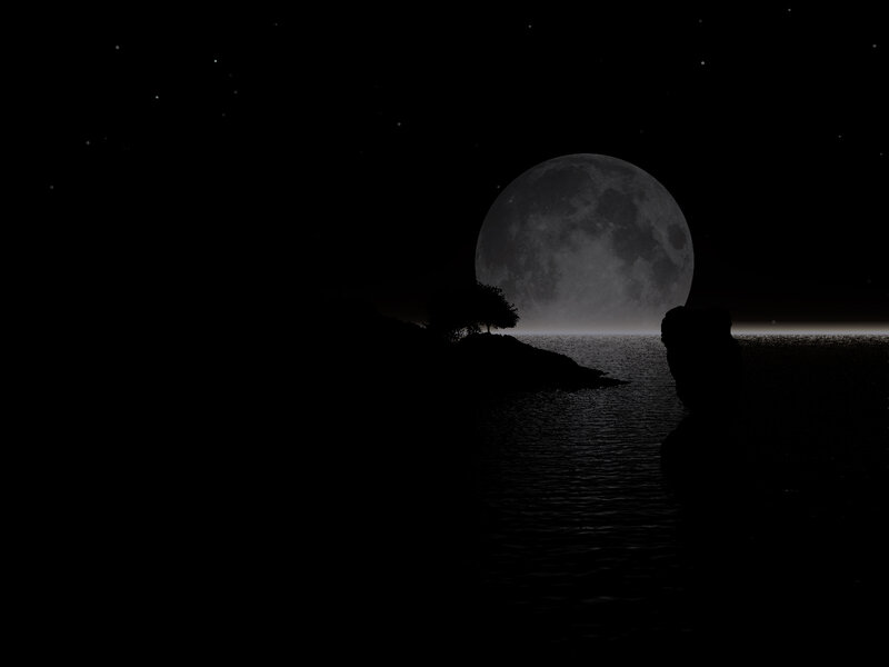 Silhouette of Tree and Rock