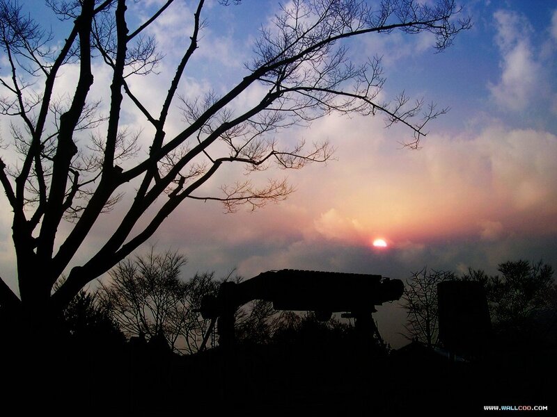 Silhouette of Tree and Structure