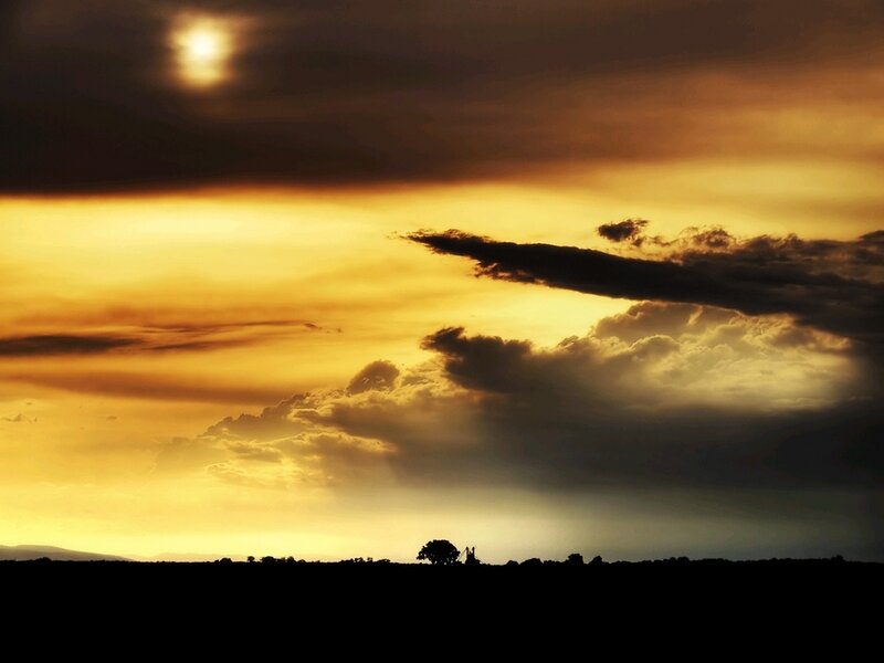 Silhouette of Tree and Windmill