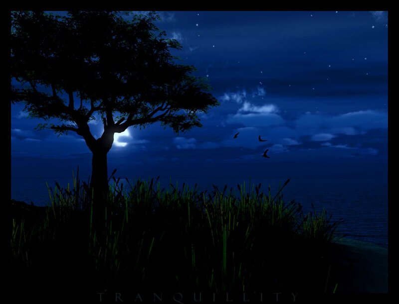 Silhouette of Tree at Night — Blue, Tranquil