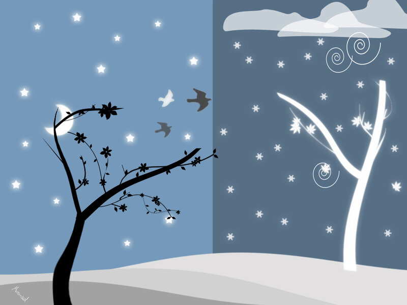 Silhouette of Tree at Night