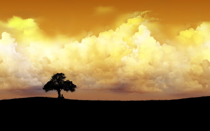 Silhouette of tree at sunset