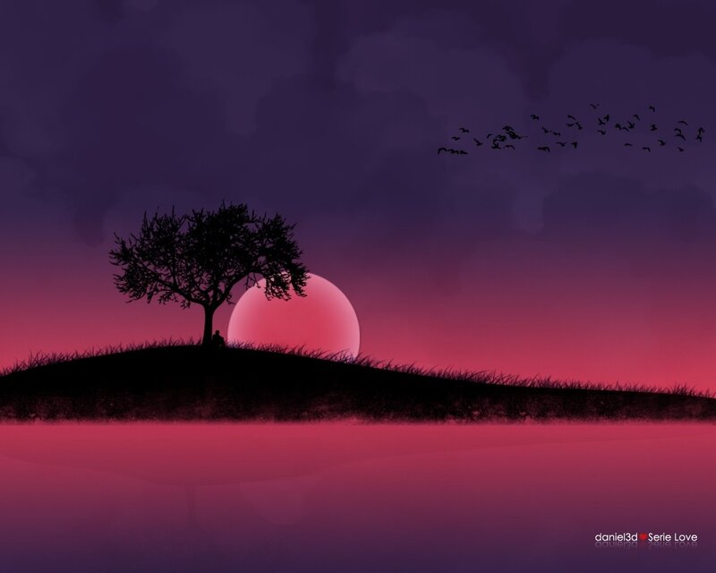 Silhouette of tree at sunset