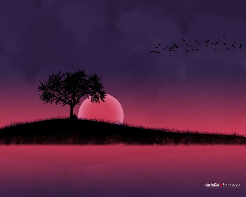 Silhouette of tree at sunset