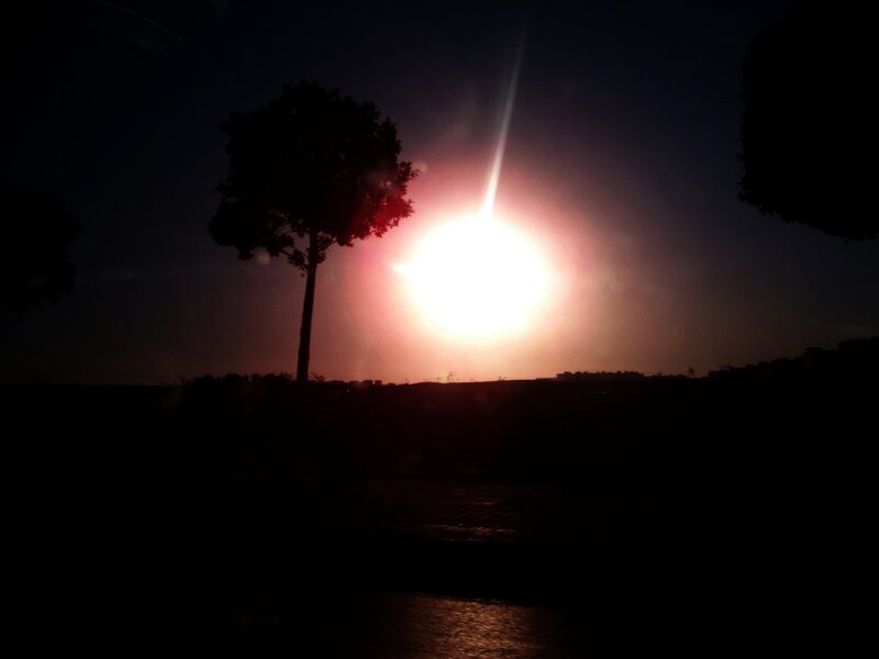 Silhouette of Tree at Sunset — Black, Dramatic