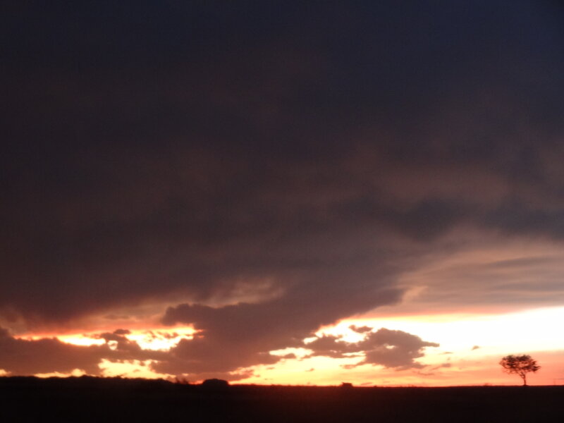 Silhouette of Tree at Sunset — Orange, Dramatic, Photograph, Clouds