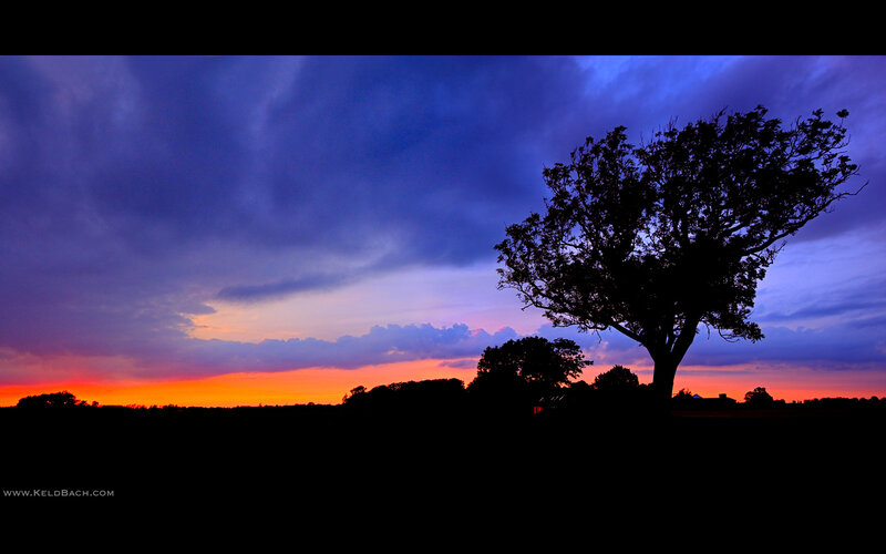Silhouette of Tree at Sunset — Orange, Dramatic, Photograph, Sky, Clouds