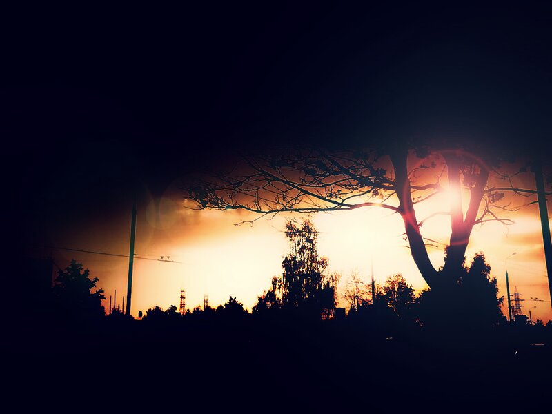Silhouette of Tree at Sunset — Orange, Dramatic, Photograph, Sky, Power Lines