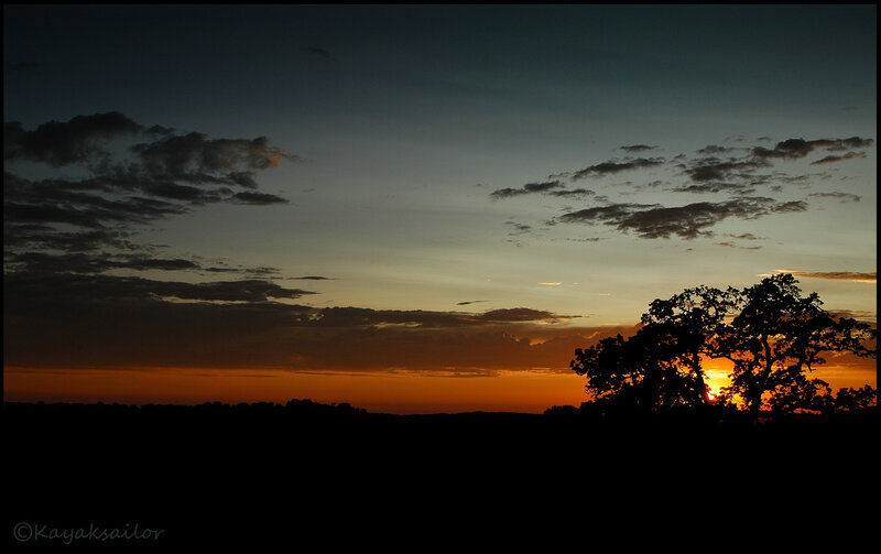 Silhouette of Tree at Sunset — Orange, Serene, Photograph, Sky, Clouds