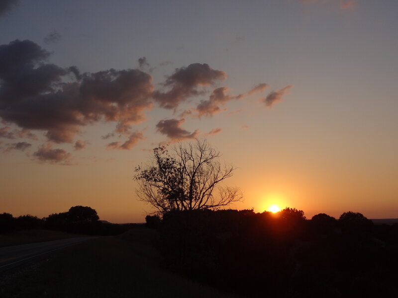 Silhouette of Tree at Sunset — Orange, Serene, Photograph, Sun, Clouds