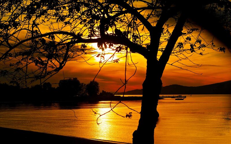 Silhouette of Tree at Sunset — Orange, Serene, Photograph, Water