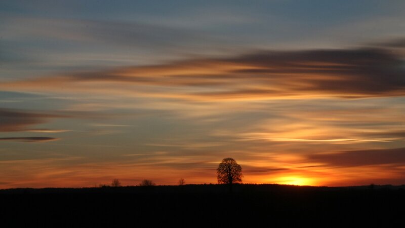 Silhouette of Tree at Sunset — Serene