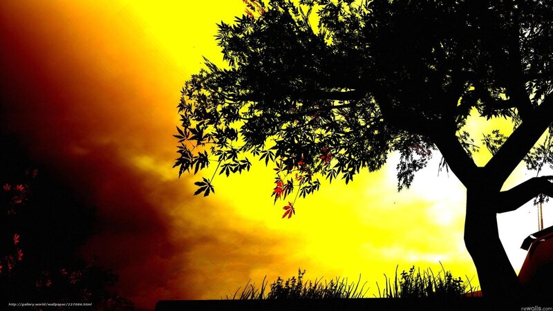 Silhouette of Tree at Sunset — Yellow, Dramatic, Photograph