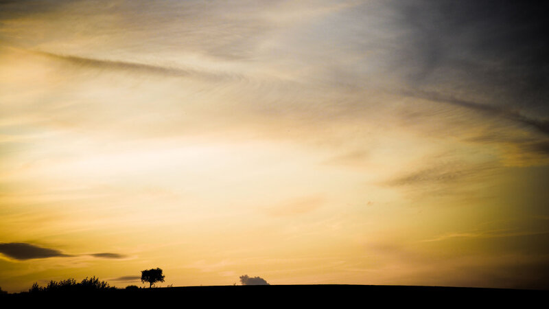 Silhouette of Tree at Sunset — Yellow, Serene, Photograph, Sky
