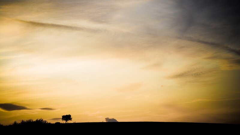 Silhouette of Tree at Sunset — Yellow, Serene, Photograph