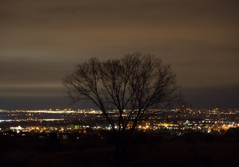 Silhouette of Tree — Black, Calm