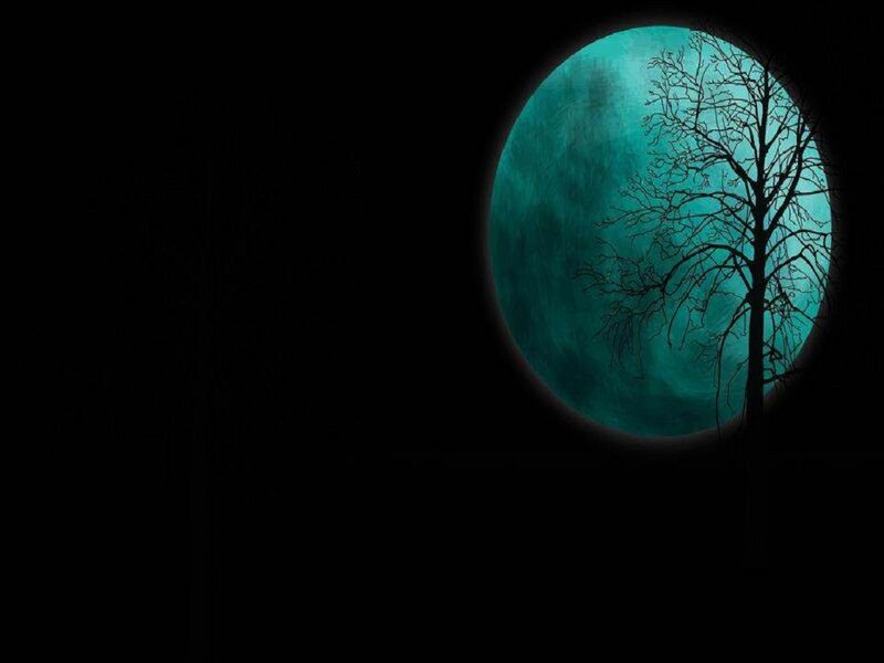 Silhouette of Tree — Black, Dramatic, Night