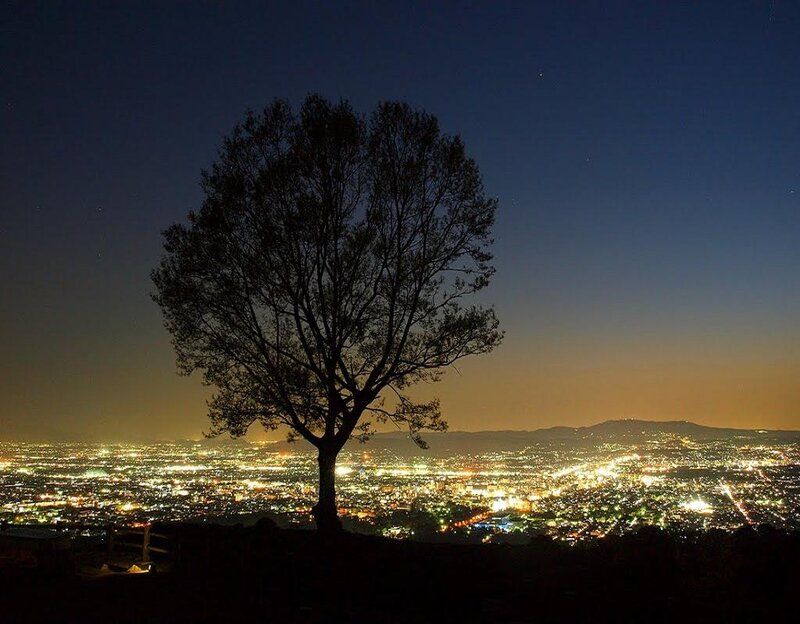 Silhouette of Tree — Black, Serene, Night
