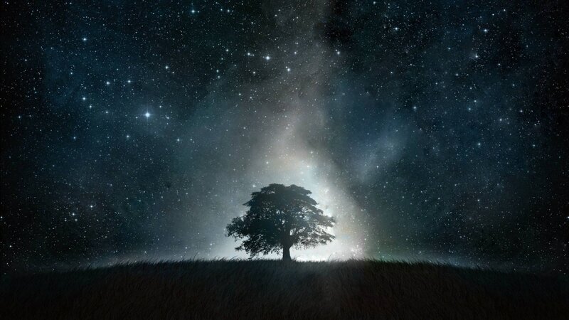 Silhouette of Tree — Black
