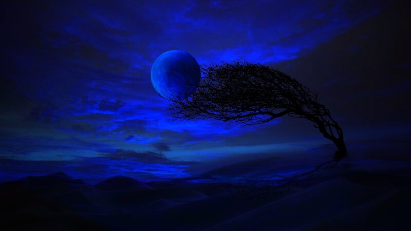 Silhouette of Tree — Blue, Dramatic, Night, Digital Art