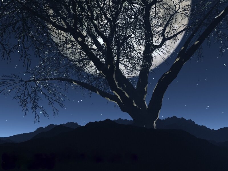 Silhouette of Tree — Blue, Serene, Night, Digital Art, Moon, Mountains