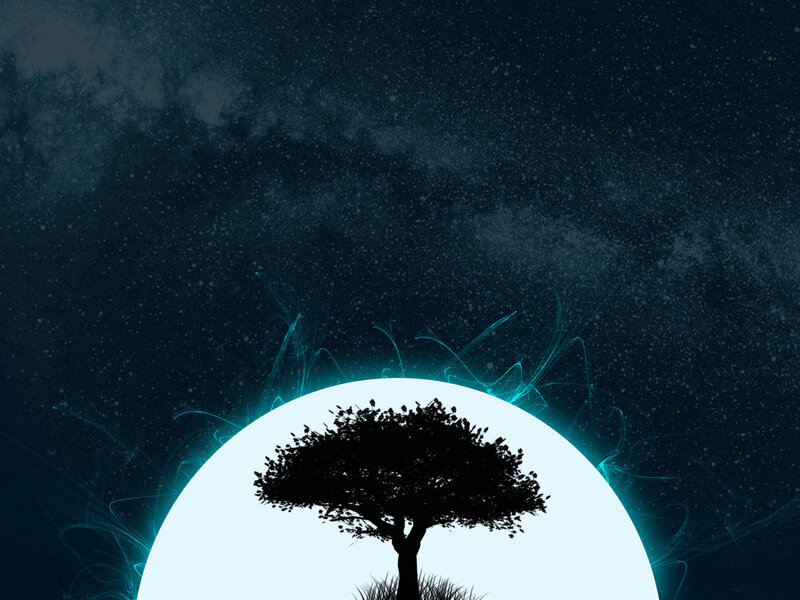 Silhouette of Tree — Blue, Serene, Night, Digital Art, Moon, Stars, Grass