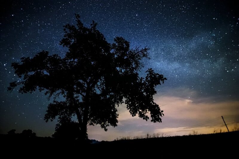 Silhouette of Tree — Blue, Serene, Night, Photograph, Stars