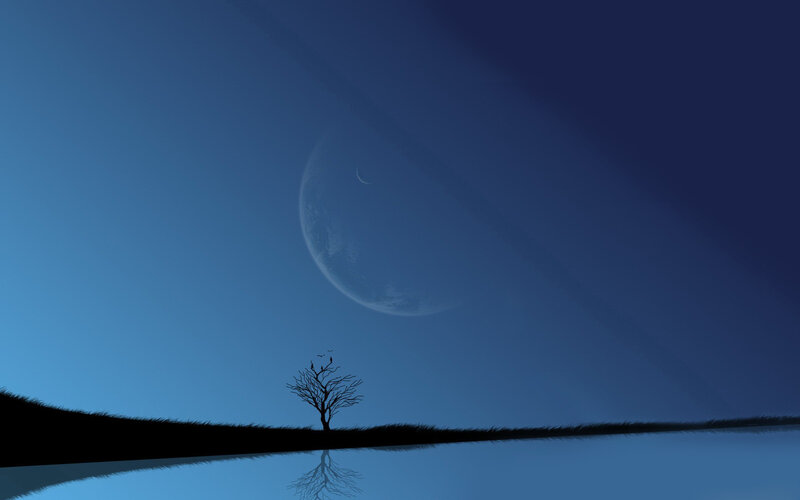 Silhouette of Tree — Blue, Serene, Night