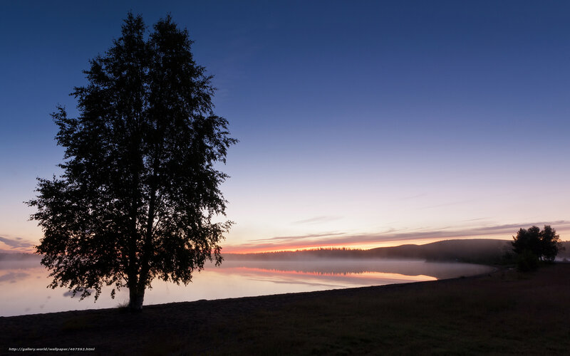 Silhouette of Tree by Lake — Blue, Serene, Sunrise