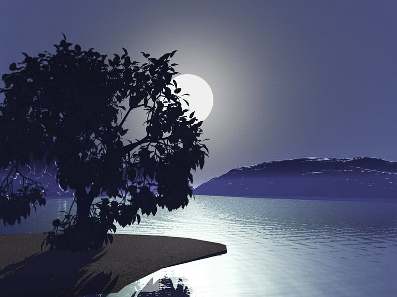Silhouette of Tree by Lake — Blue