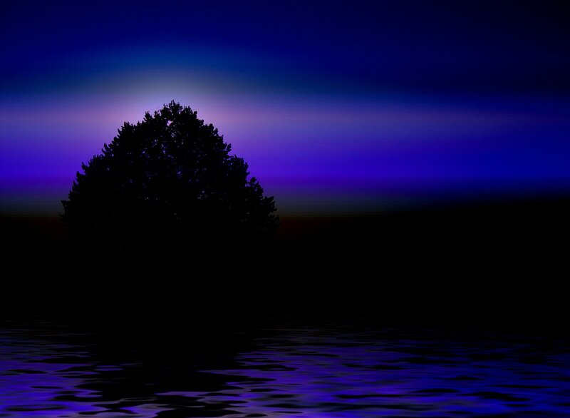 Silhouette of Tree in Water — Blue