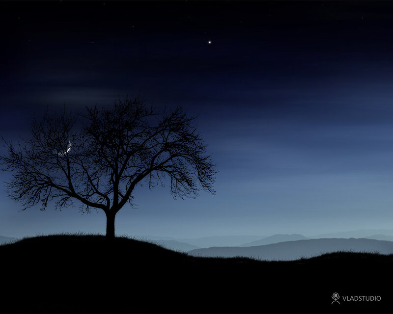 Silhouette of Tree on Hill — Black, Serene