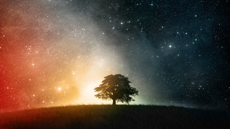 Silhouette of Tree on Hill — Black