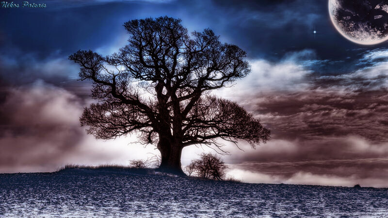 Silhouette of Tree on Hill — Blue, Dramatic