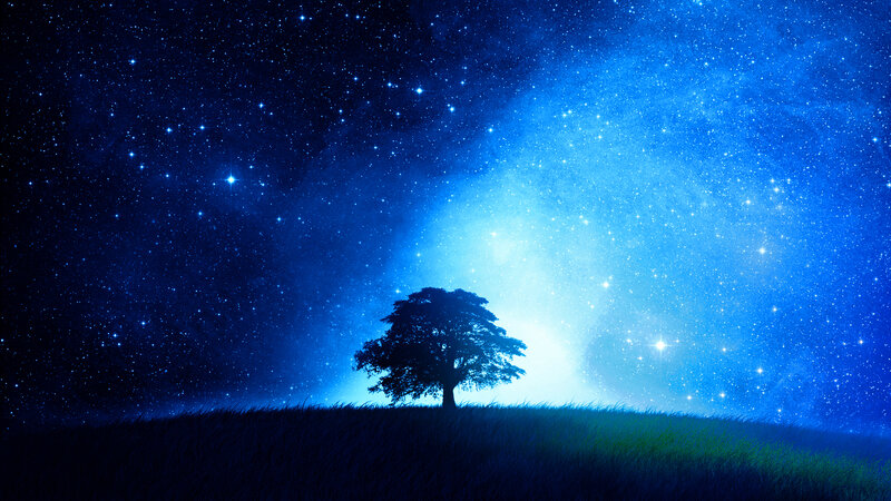 Silhouette of Tree on Hill — Blue, Serene, Night, Digital Art, Stars, Black