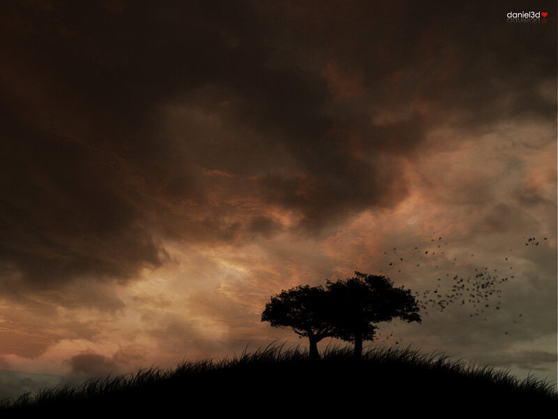 Silhouette of Tree on Hill — Brown