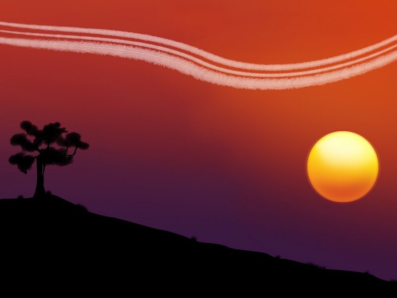 Silhouette of Tree on Hill — Orange