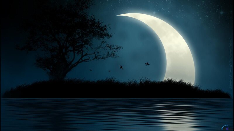 Silhouette of Tree on Island — Blue, Serene, Night, Digital Art, Moon, Birds