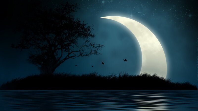 Silhouette of Tree on Island — Blue, Serene, Night, Digital Art