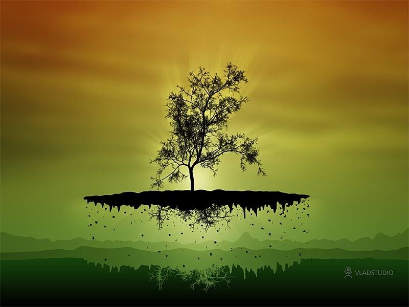 Silhouette of Tree on Island — Green