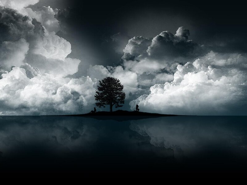 Silhouette of tree on island
