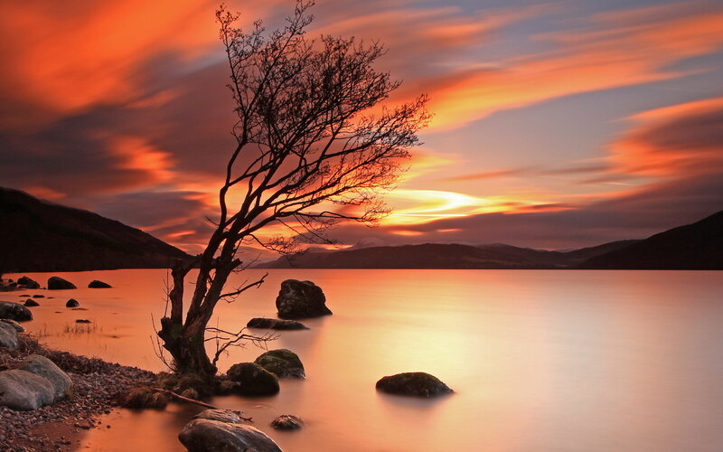 Silhouette of Tree on Lake — Orange