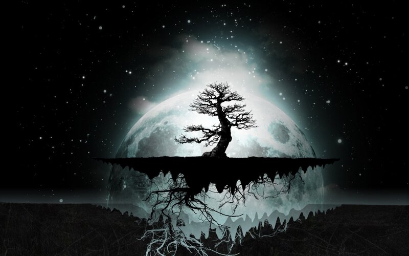 Silhouette of Tree on Moon