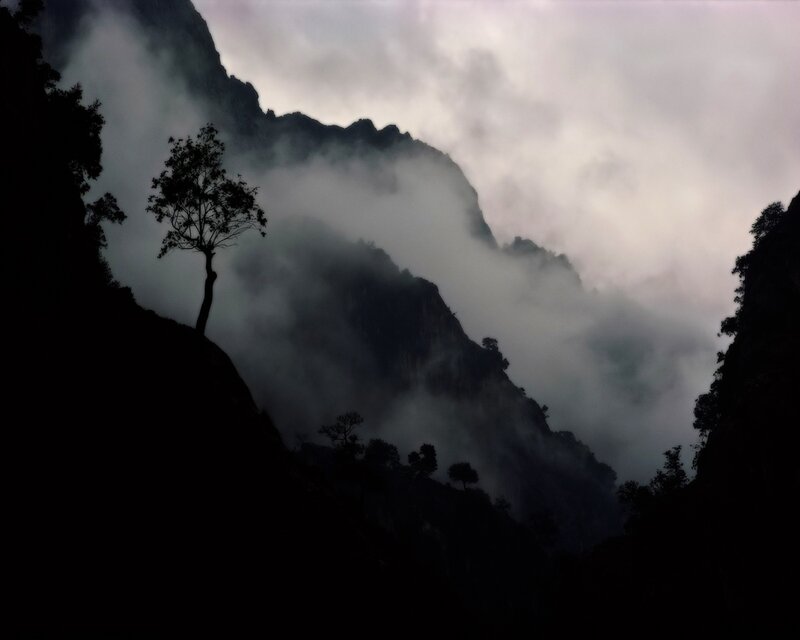 Silhouette of Tree on Mountain — Black