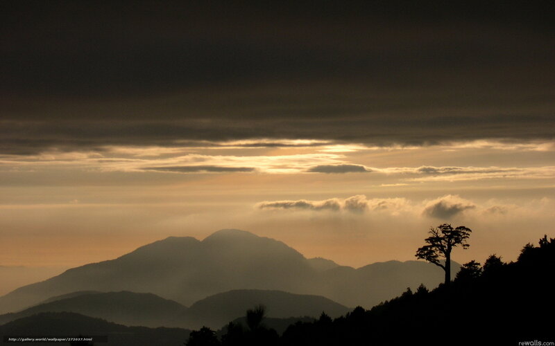 Silhouette of tree on mountain